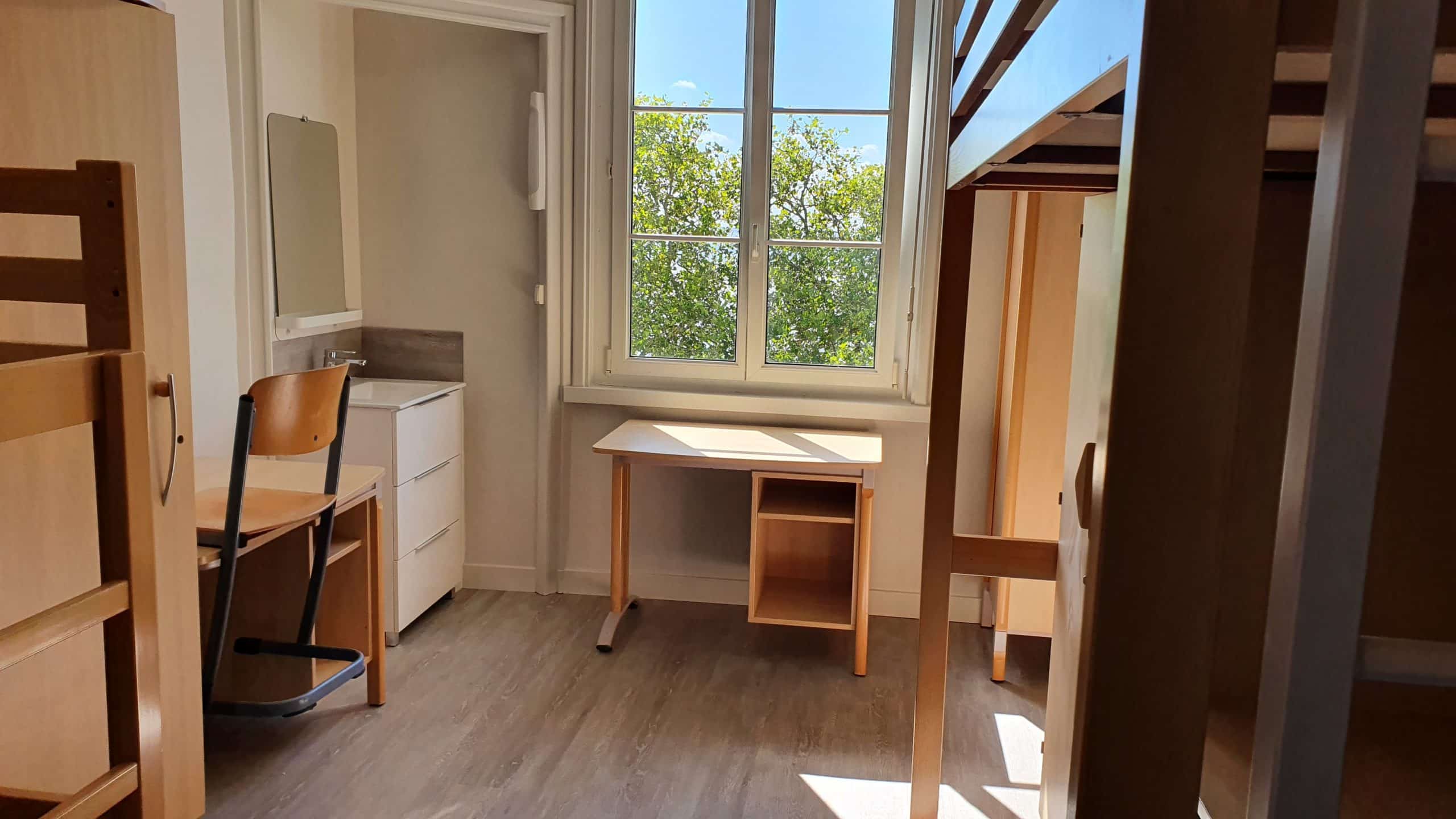 Internat Collège Lycée SaintLouis SaintNazaire — free download